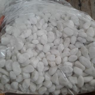 1kg sỏi trắng trang trí