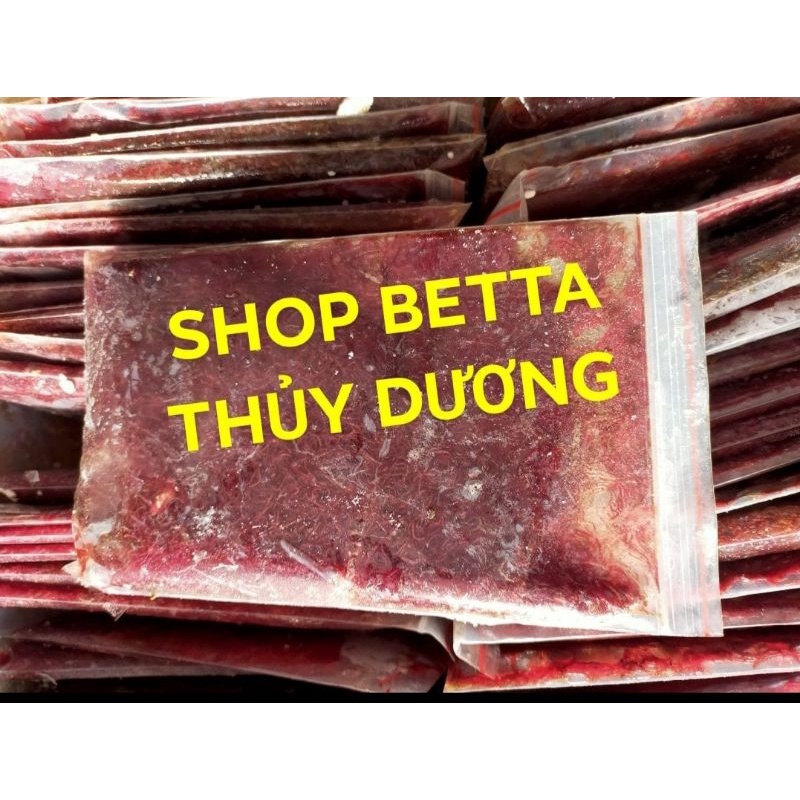 TRÙN HUYẾT ĐÔNG LẠNH