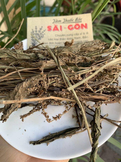 Cây Mã Đề Khô 1kg