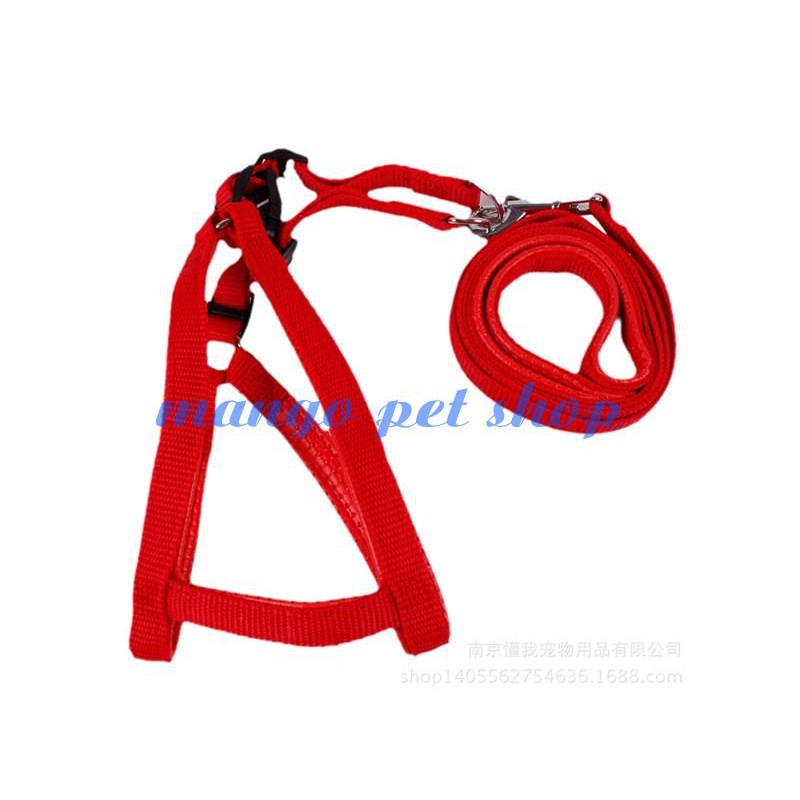 Dây Đai Dắt Chó Đai Bản Dẹp Có Đệm