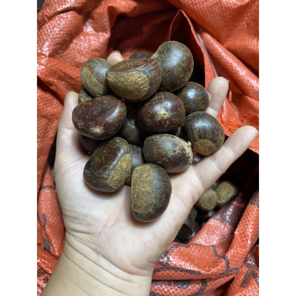 Hạt dẻ không khứa vỏ