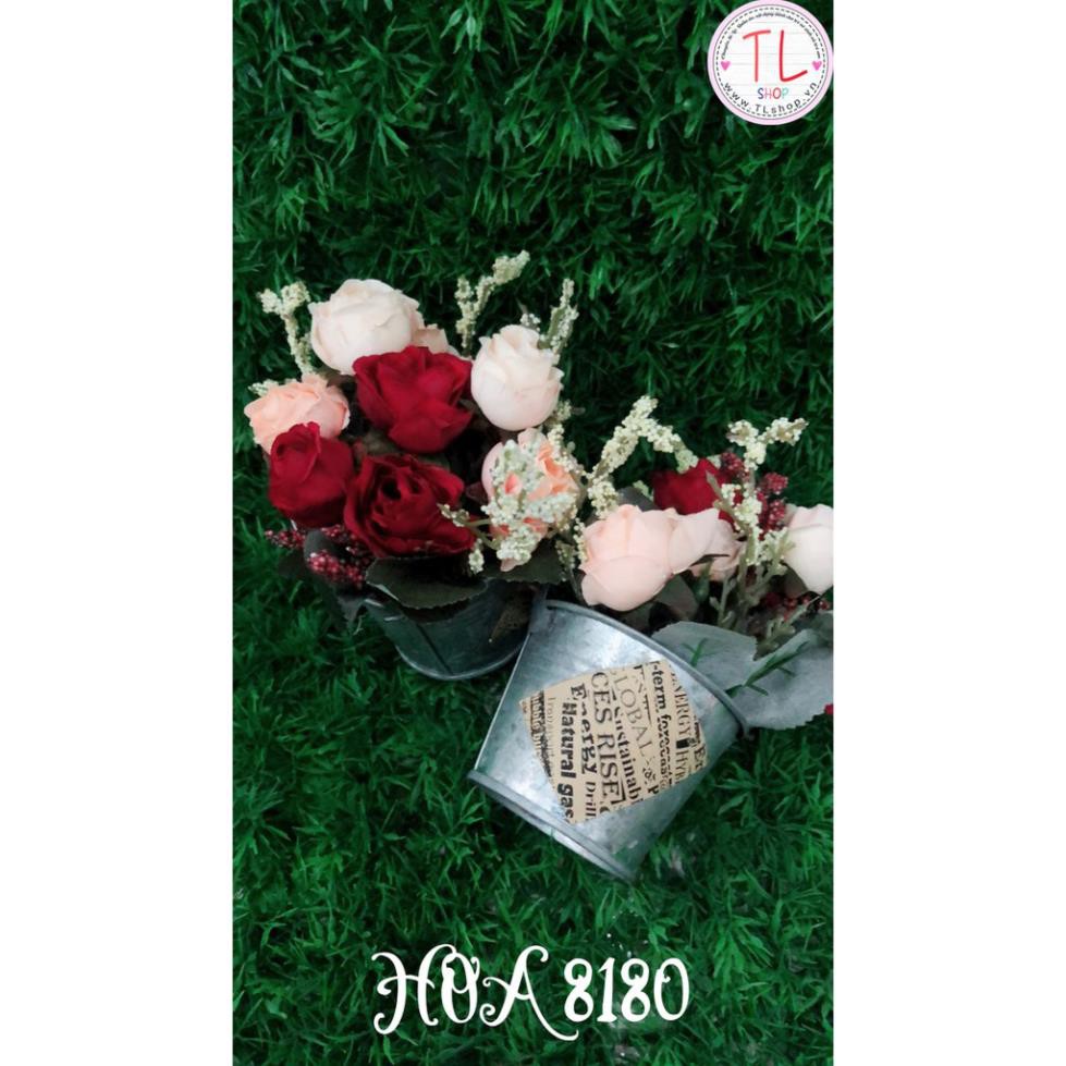 Chậu bông hồng đỏ xinh xắn