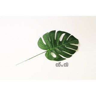 Lá Nhiệt Đới Tropical Trang Trí Sinh Động