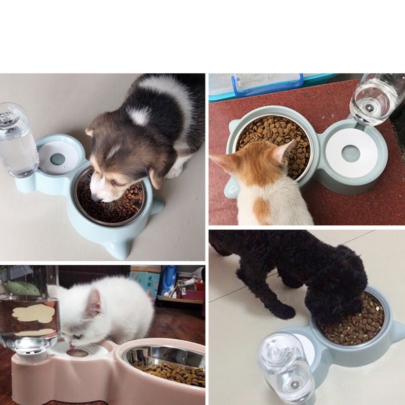 Bát Ăn Đôi Bằng Inox Cho Chó Mèo Kèm Bình Nước Tự Động