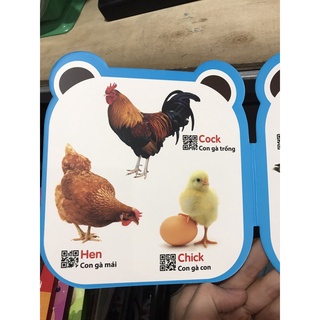 Sách - Combo cùng gấu học tiếng anh ( 6 cuốn )