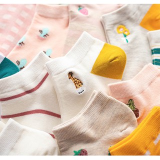 [COMBO 5 ĐÔI] Set tất nữ, vớ nữ socks cổ ngắn nữ cute Caramella