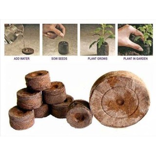 Viên nén xơ dừa gieo hạt trồng cây