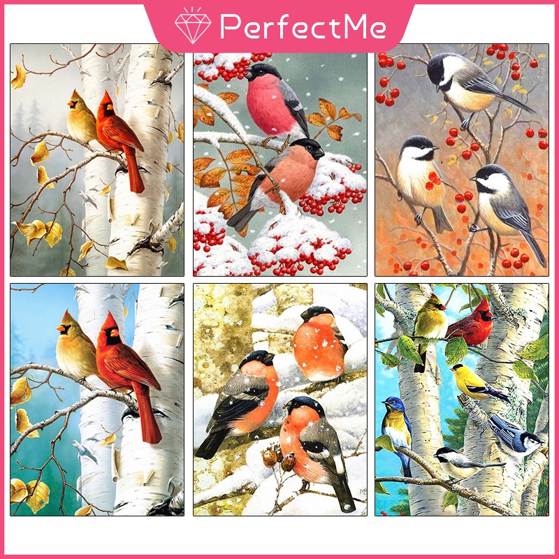 Bộ Tranh Đính Đá Tự Làm Kích Thước 30X40Cm Họa Tiết Chim Đơn Giản Hiện Đại Trang Trí Nội Thất