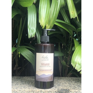 Dầu gội bồ kết và thảo dược hofy care 300ml