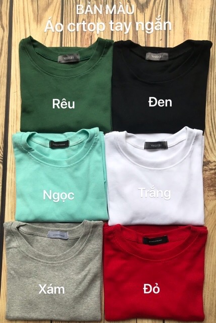 ÁO CRTOP TAY NGẮN ( màu như hình )