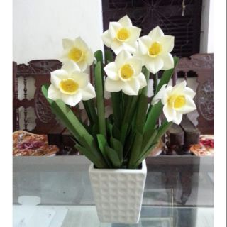 Hoa giấy thủy tiên