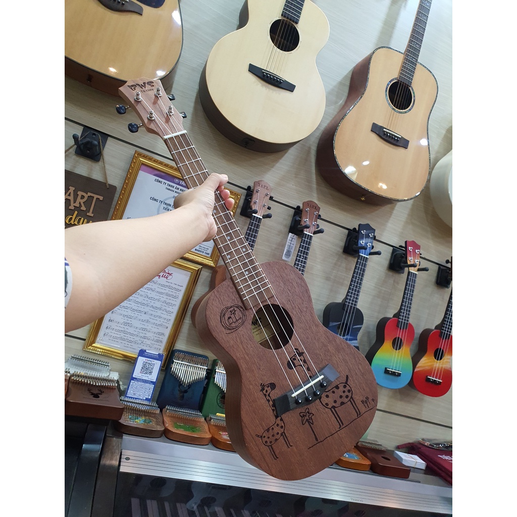 Đàn Ukulele Gỗ chính hãng BWS size Concert-HUƠU CAO CỔ