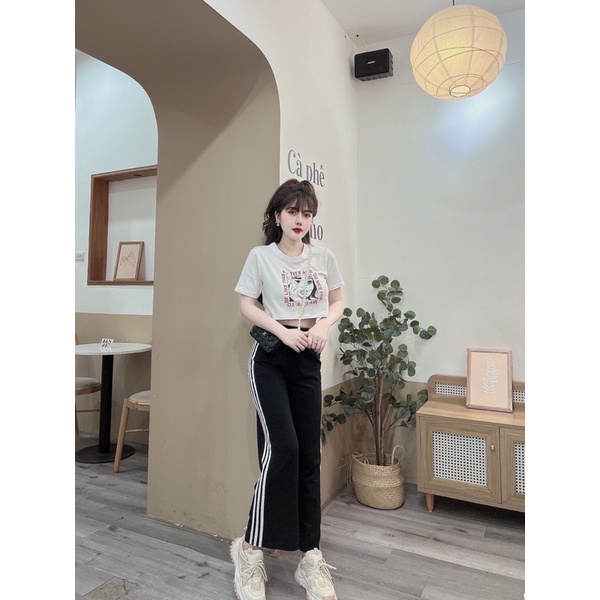 SET cô gái crt mĩ quần sọc dài