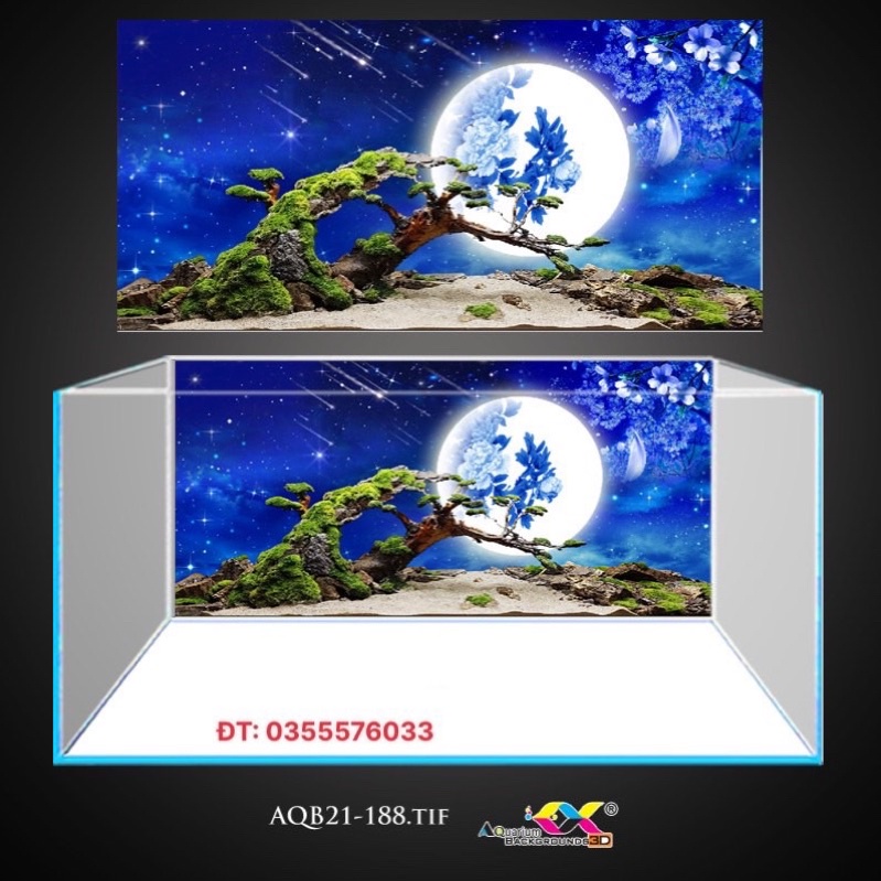 Tranh 3D dán hồ cá - bể thủy sinh siêu đẹp và nét, có keo sẵn trên bề mặt, đa dạng kích thước