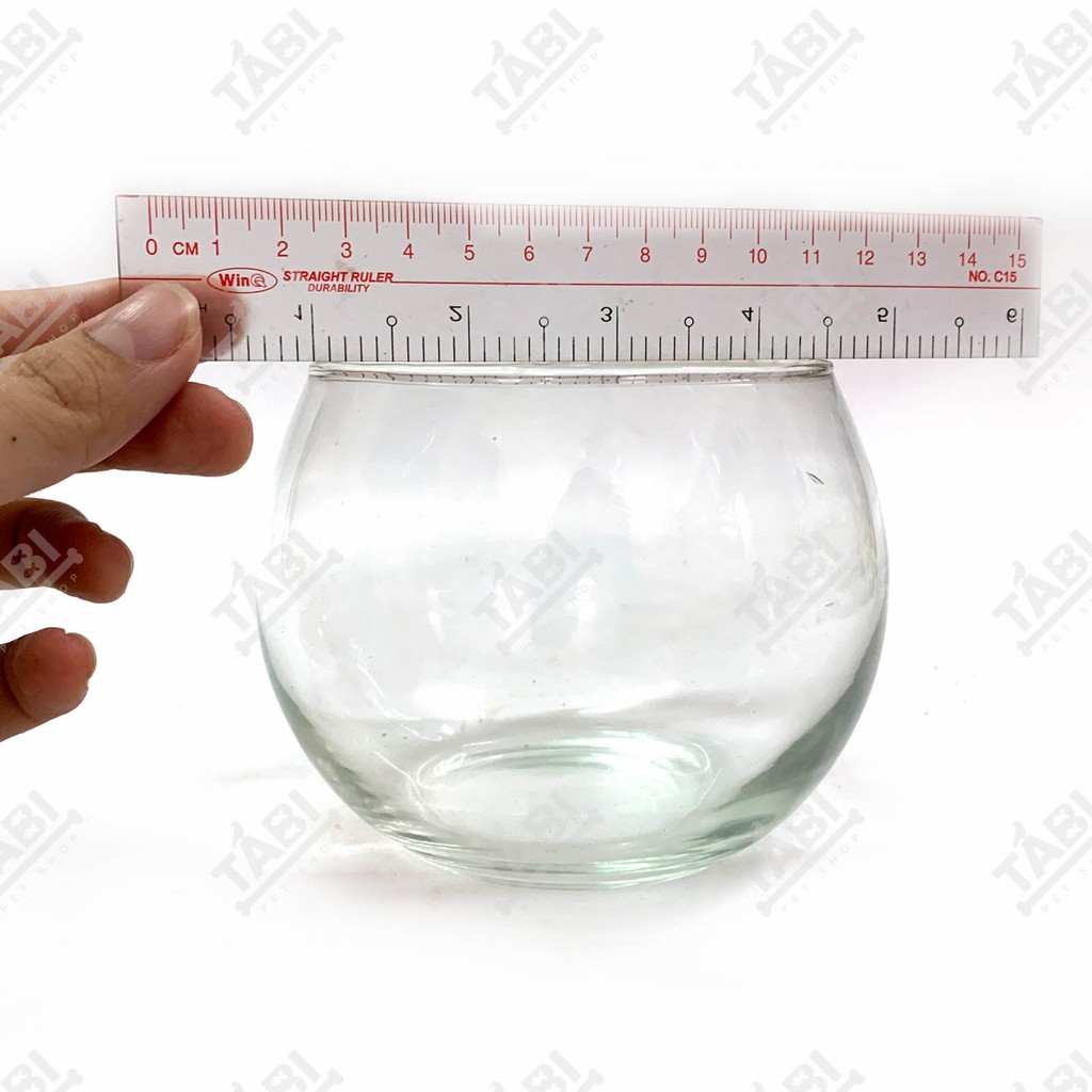 Hồ Cá MINI HT-04 Size 10x8CM - Chậu Thuỷ Tinh Nuôi Cá, Trồng Cây Mini [HT4]