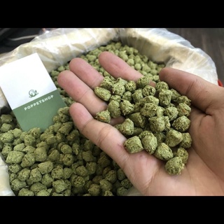 THỨC ĂN HẠT KHÔ PRO-REPTILE ”𝓟𝓮𝓶 𝓟𝓮𝓶” bổ dưỡng dành cho bò sát
