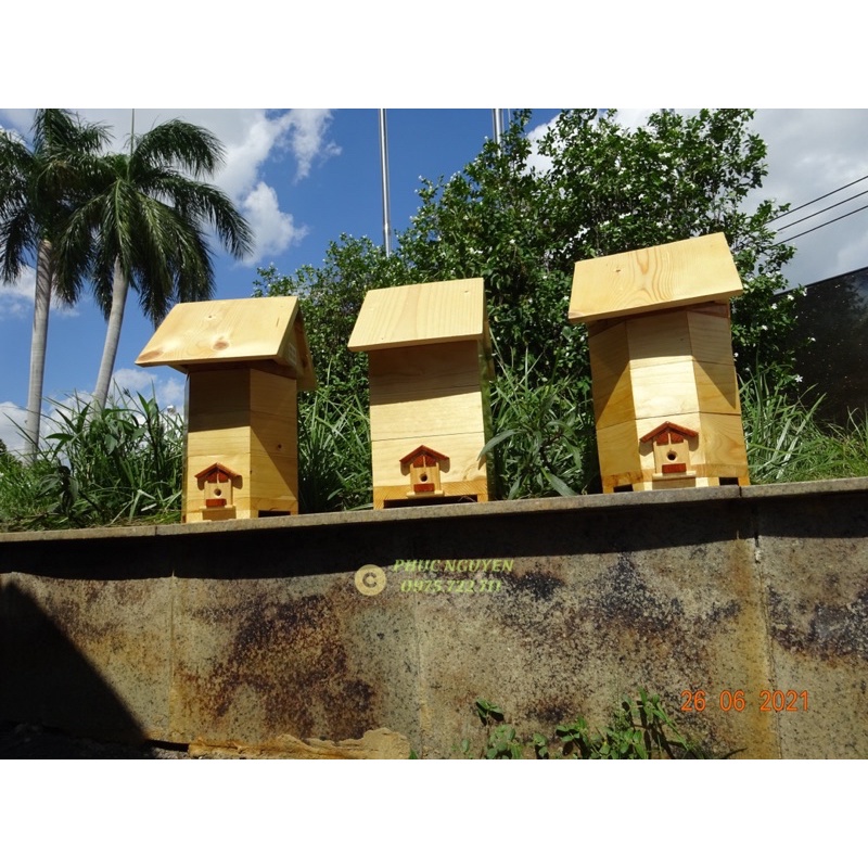 🔥🎁 combo 3 thùng nuôi ong dú - stingless bee hive🎁🔥