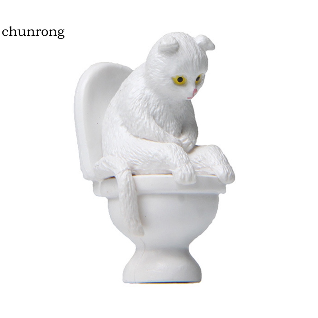Mô hình mèo ngộ nghĩnh vui nhộn làm quà tặng cho bé