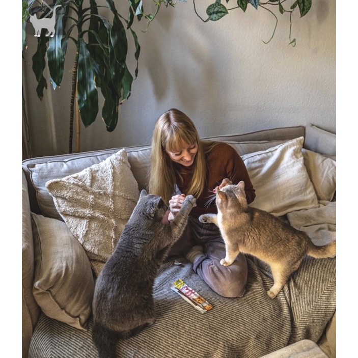 [𝙌𝒖̀𝙖 𝙩𝒂̣̆𝙣𝙜] Gimcat Treat que- đồ ăn thưởng vị gà và cá  / gimcat  sticks cho mèo mọi lứa tuổi