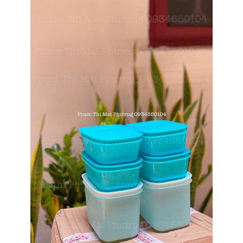 Bộ 6 Hộp Trữ Đông Freezermate Tupperware Thế Hệ II Nhựa Nguyên Sinh An Toàn Tuyệt Đối | BigBuy360 - bigbuy360.vn