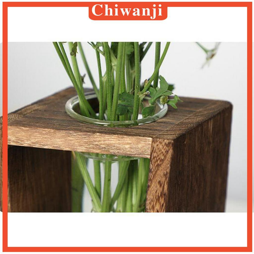 Chậu Kính Trồng Cây Cảnh Bonsai Bằng Gỗ Dùng Trang Trí Nhà Cửa