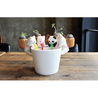 CHẬU TRỒNG CÂY MINI ĐỂ MIỆNG LY TỰ TƯỚI