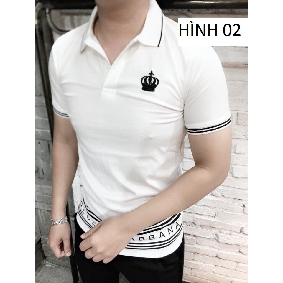 [S01] Áo thun nam cổ trụ vải cotton mịn sọc sau lưng cá tính-AT001 - Áo thun dài tay