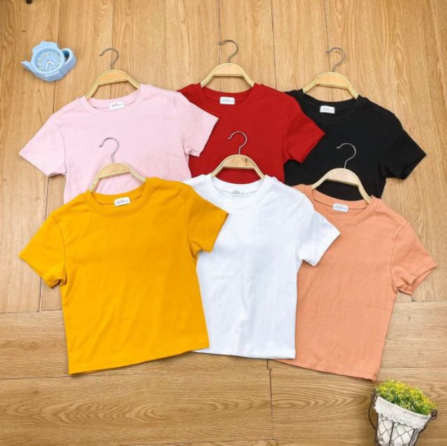 áo croptop nữ body - áo Kiểu Nữ Nhiều Màu Hàng Đẹp