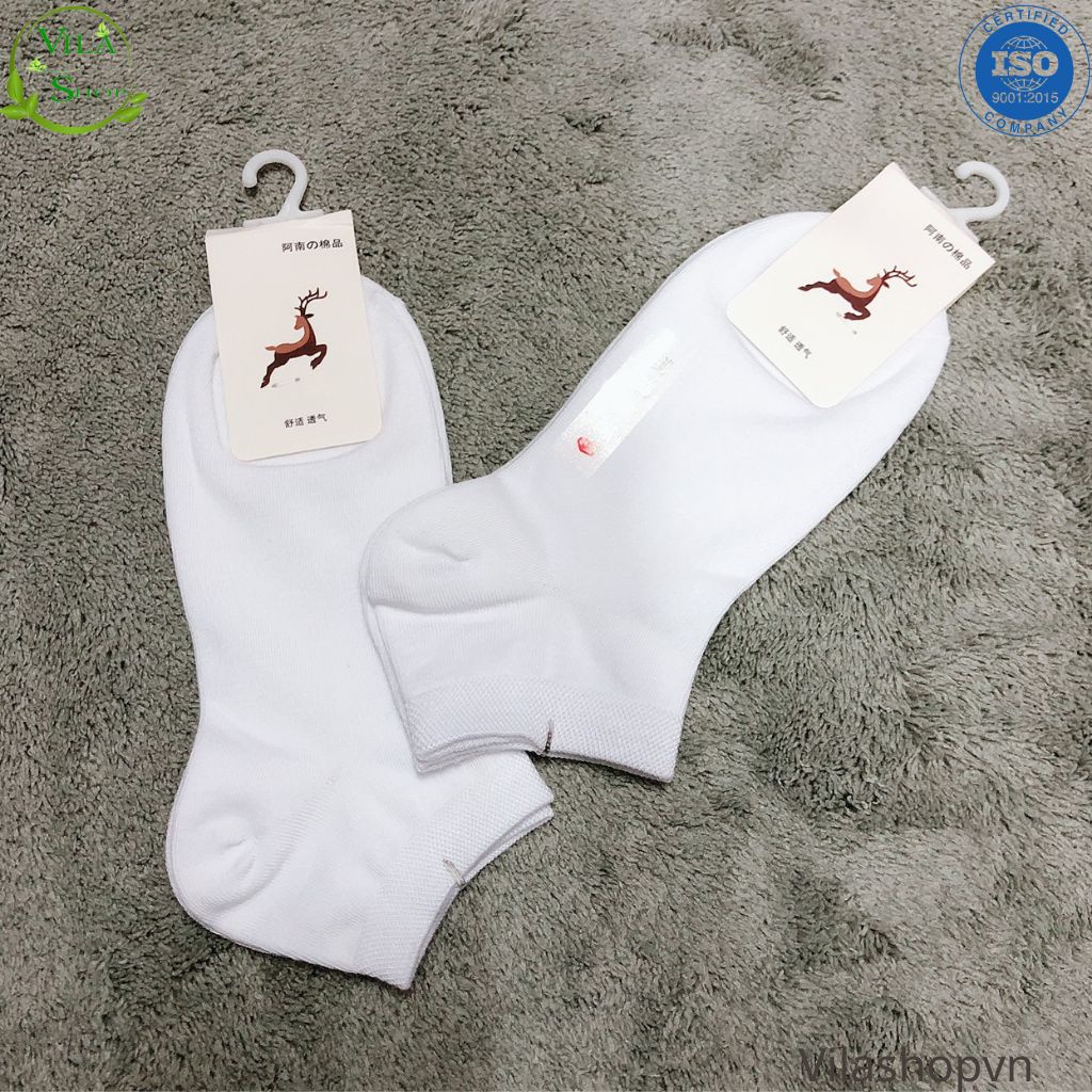 (Set 5 Đôi) Tất Cổ Ngắn Nữ Hàn Quốc Gân Bó Chân, Vớ Thấp Cổ Nữ Hàn Quốc Màu Trắng Đen