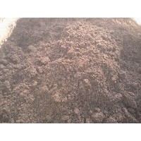 B cà phê nguyên chất 10g | BigBuy360 - bigbuy360.vn