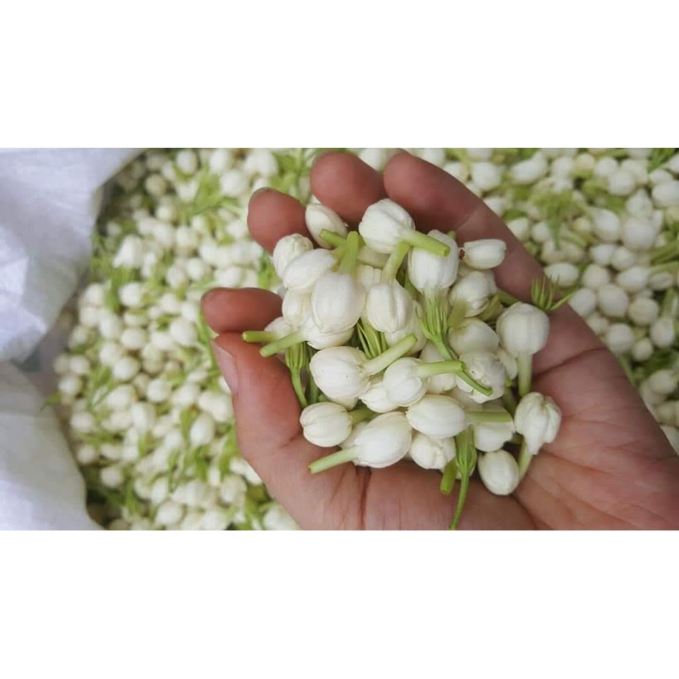 Hoa nhài khô 100g | BigBuy360 - bigbuy360.vn