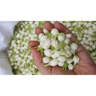 Hoa nhài khô 100g