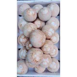 Dừa xiêm gọt