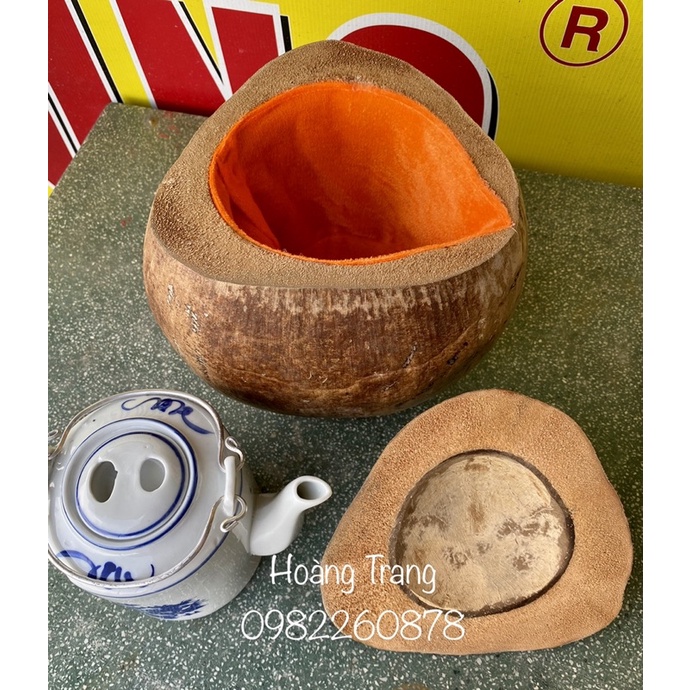Vỏ bình trà trái dừa nguyên thủy ko sơn tự nhiên ( 2size)