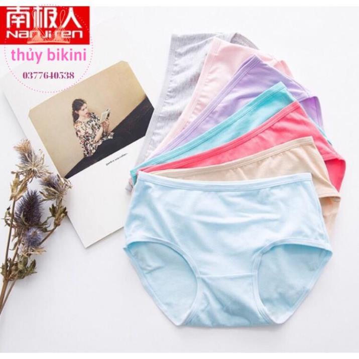 QUẦN LÓT COTTON CAO CẤP