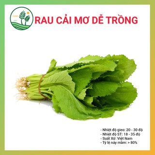 Hạt Giống Rau Cải Mơ Hoàng Mai - 50gr