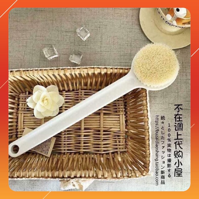 Cây cọ lưng Muji ,Bàn chải cọ lưng cao cấp full box