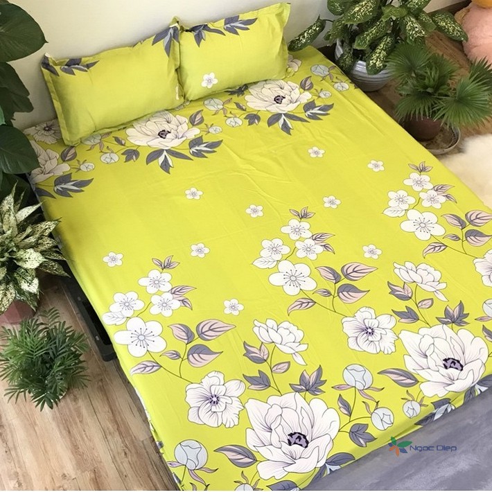 Bộ ga gối poly cotton m6 hoặc m8 mẫu hoa hồng cốm