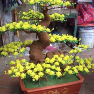 Thành phẩm cây mai đá 286 bông hoa