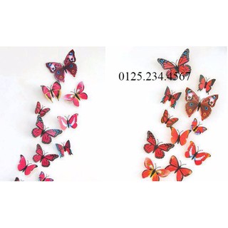 Decal dán tường Bướm 3D đỏ viền đen (bộ 12 con)