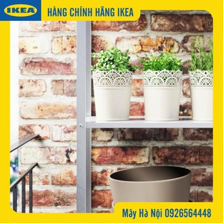 Chậu hoa IKEA ( chính hãng)
