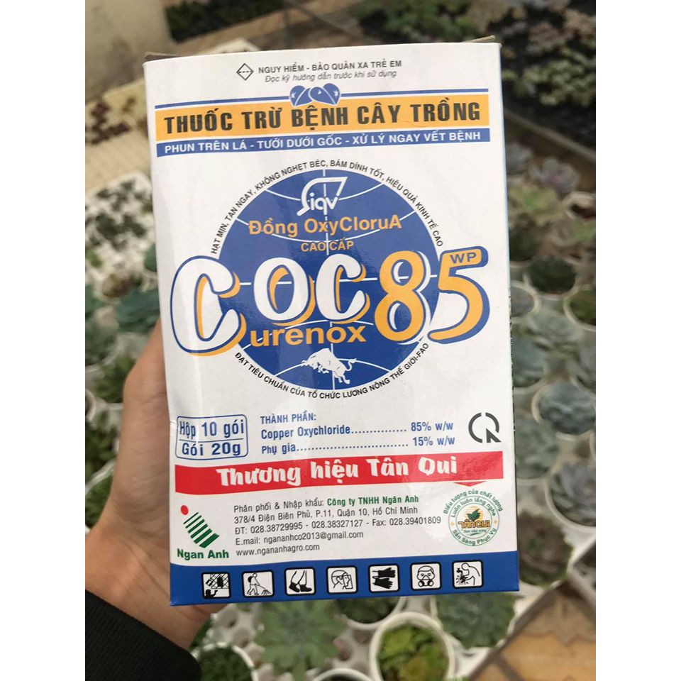 Đặc trị các bệnh trên Sen Đá và Xương Rồng