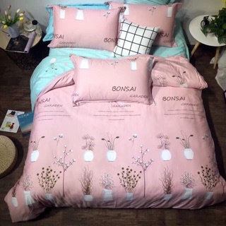 COTTON PRINCESS - COTTON HÀN QUỐC