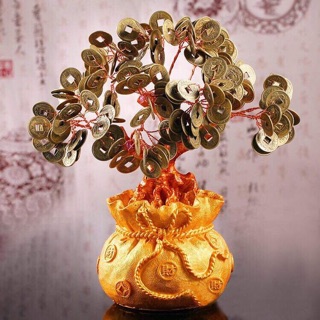 Cây tiền xu chiêu tài lộc.