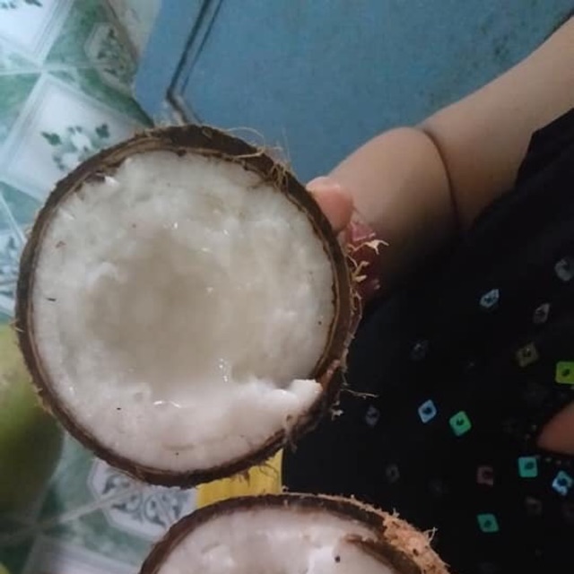 Dừa sáp đặc sản cầu kè Trà Vinh