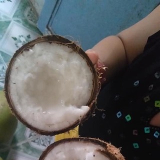 Dừa sáp đặc sản cầu kè Trà Vinh