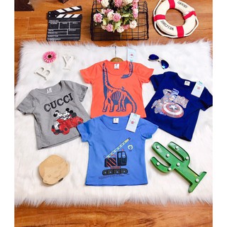Combo 4 áo thun cotton xuất dư cho bé.