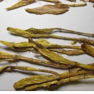 Thạch Hộc vàng đẹp 100 gram.