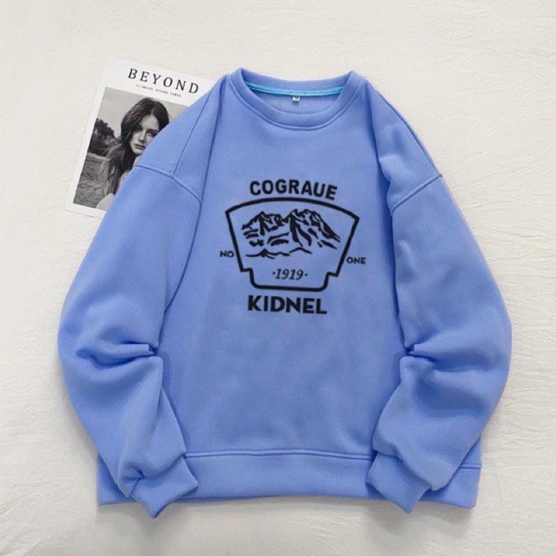 Áo Sweater Cograue unisex, Áo hoodie Nam Nữ Form Rộng Trần Hoa | BigBuy360 - bigbuy360.vn