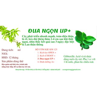 Bộ kích mầm hoa lan (kích kie)